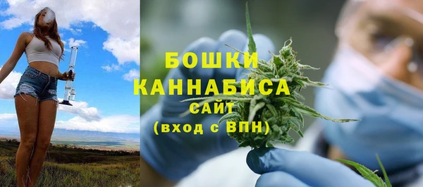 шишки Каменка