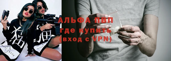 шишки Каменка