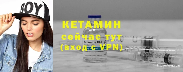 шишки Каменка