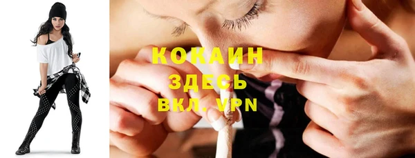 шишки Каменка