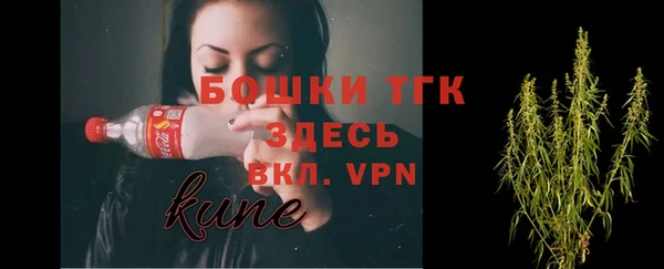 шишки Каменка