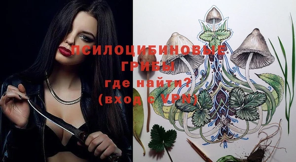 гидропоника Каменногорск