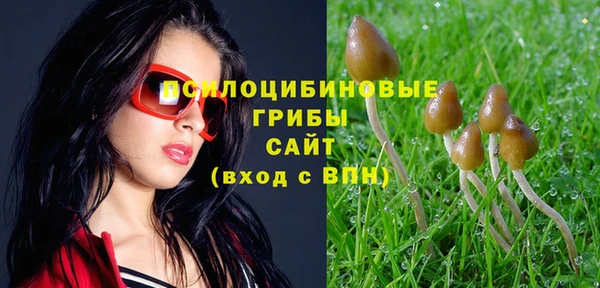 гидропоника Каменногорск