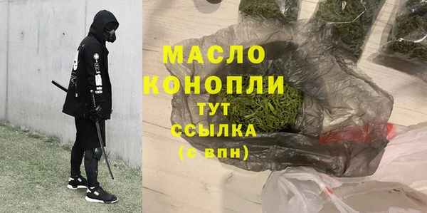 шишки Каменка