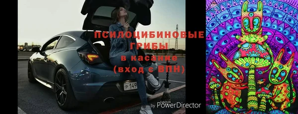 шишки Каменка