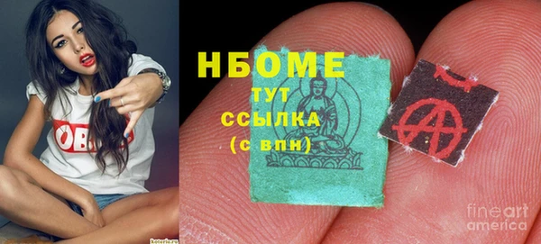 шишки Каменка