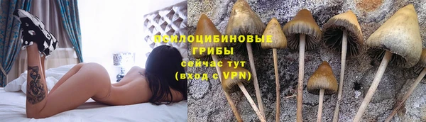 гидропоника Каменногорск