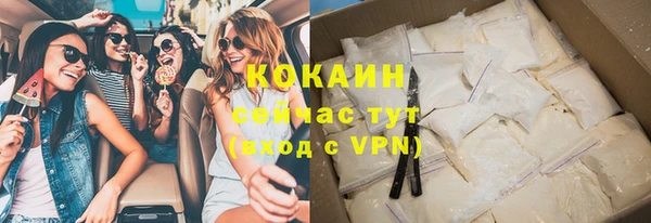 шишки Каменка