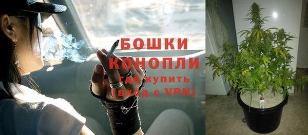 гидропоника Каменногорск