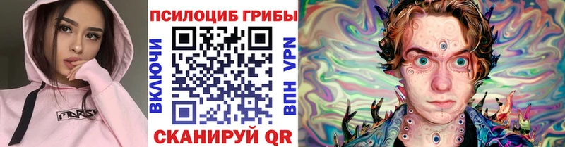 Купить закладки  Выборг  Галлюциногенные грибы мухоморы 